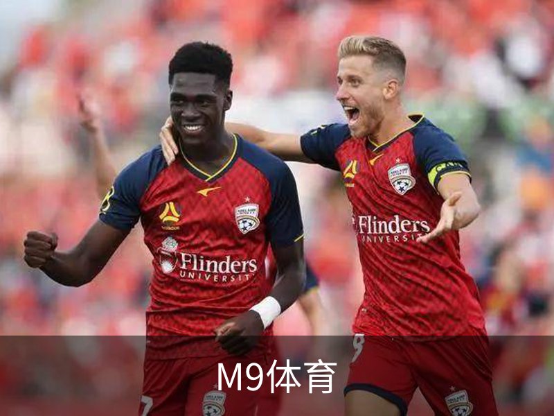 关于M9体育